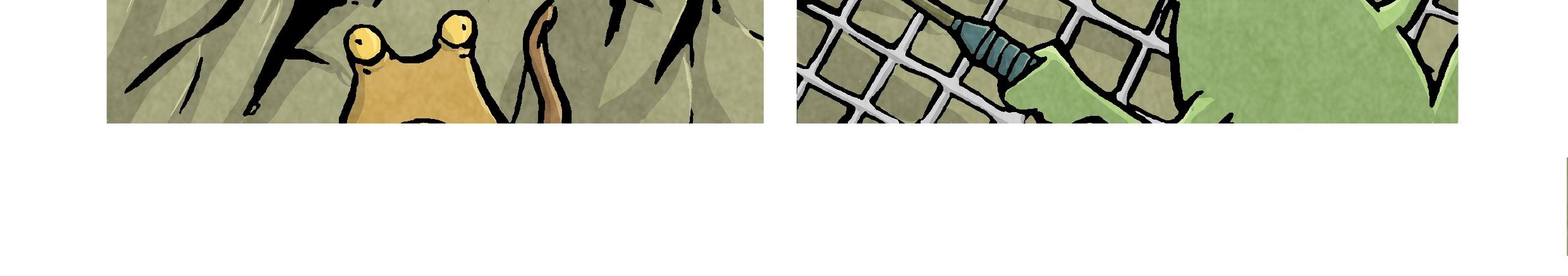 Image 4 Cut