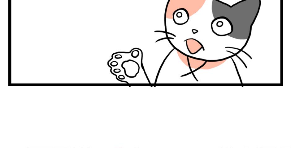 Image 2 Cut