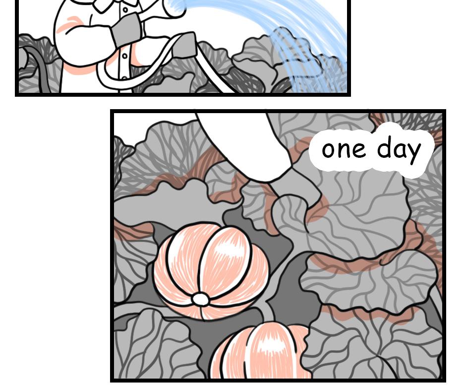 Image 2 Cut