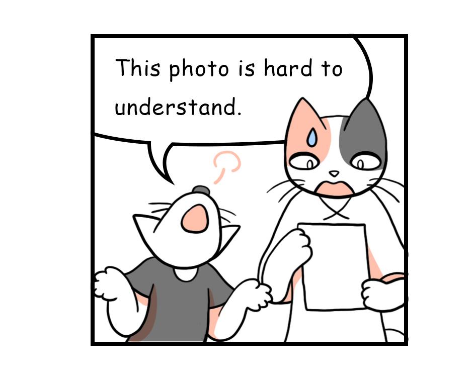 Image 2 Cut