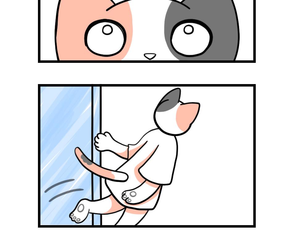 Image 2 Cut