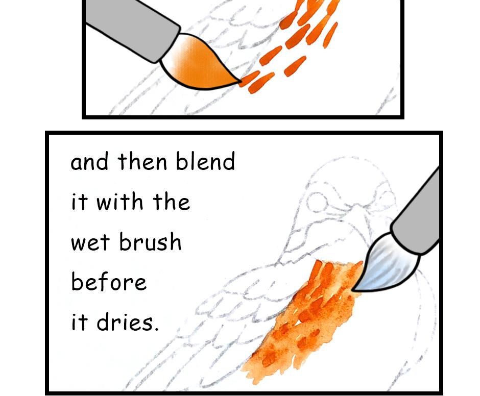 Image 2 Cut