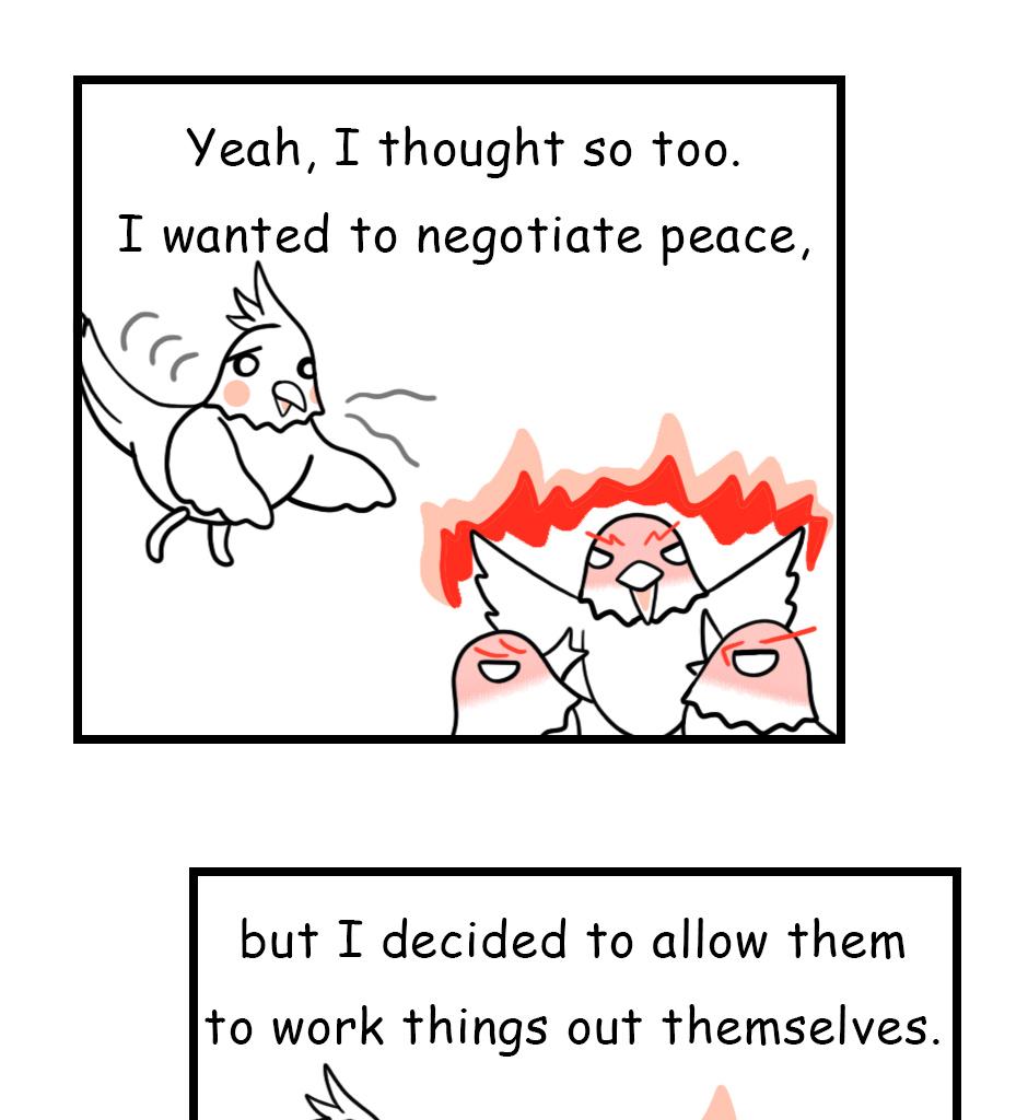 Image 1 Cut
