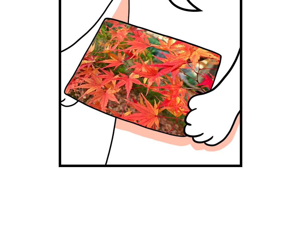 Image 2 Cut