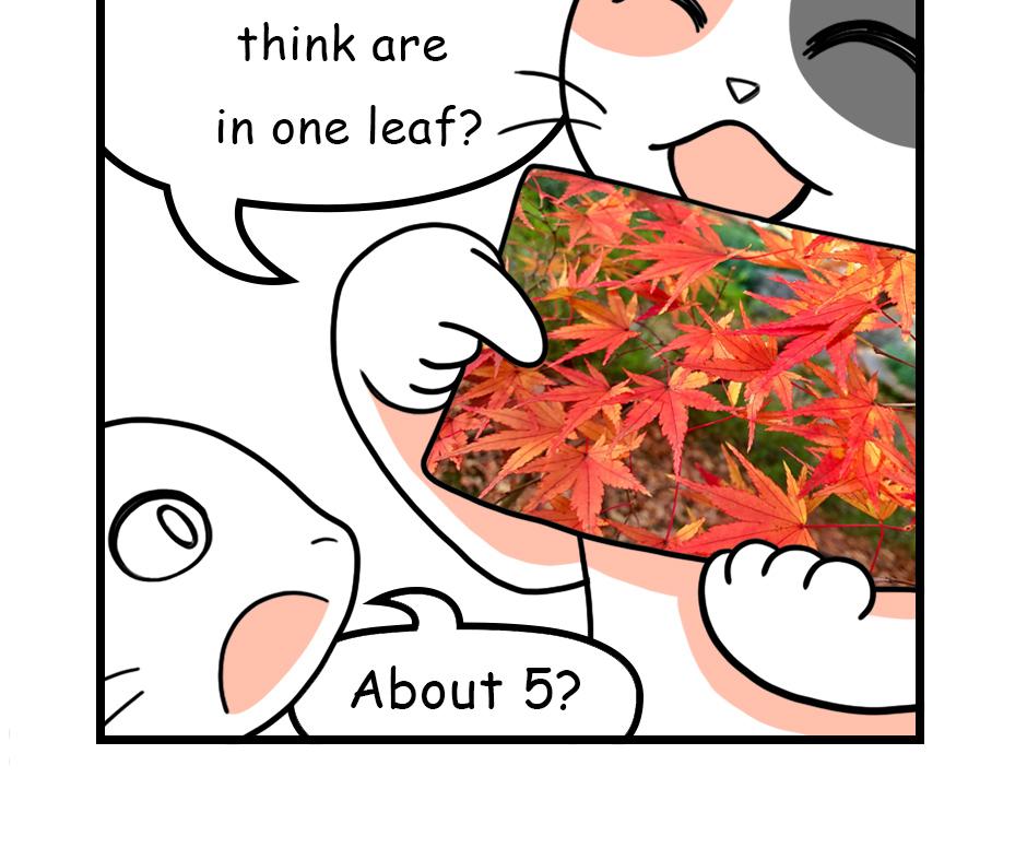 Image 2 Cut