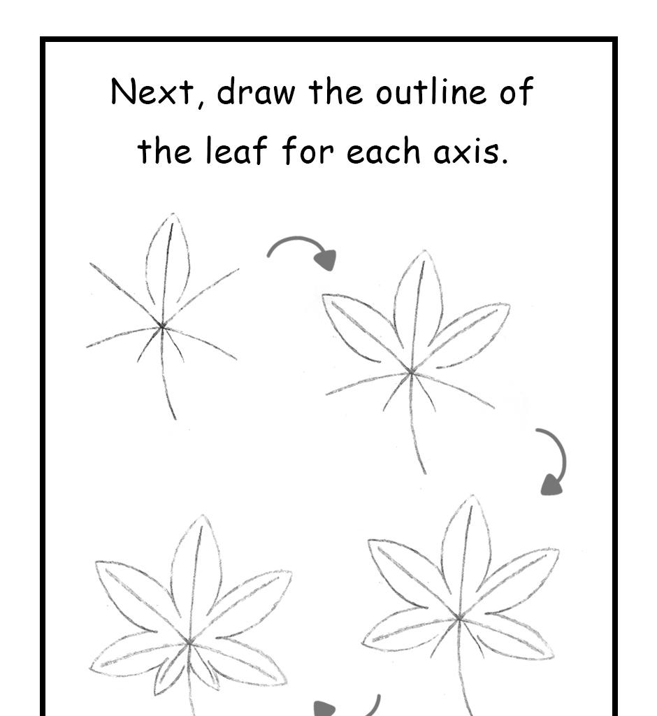 Image 1 Cut