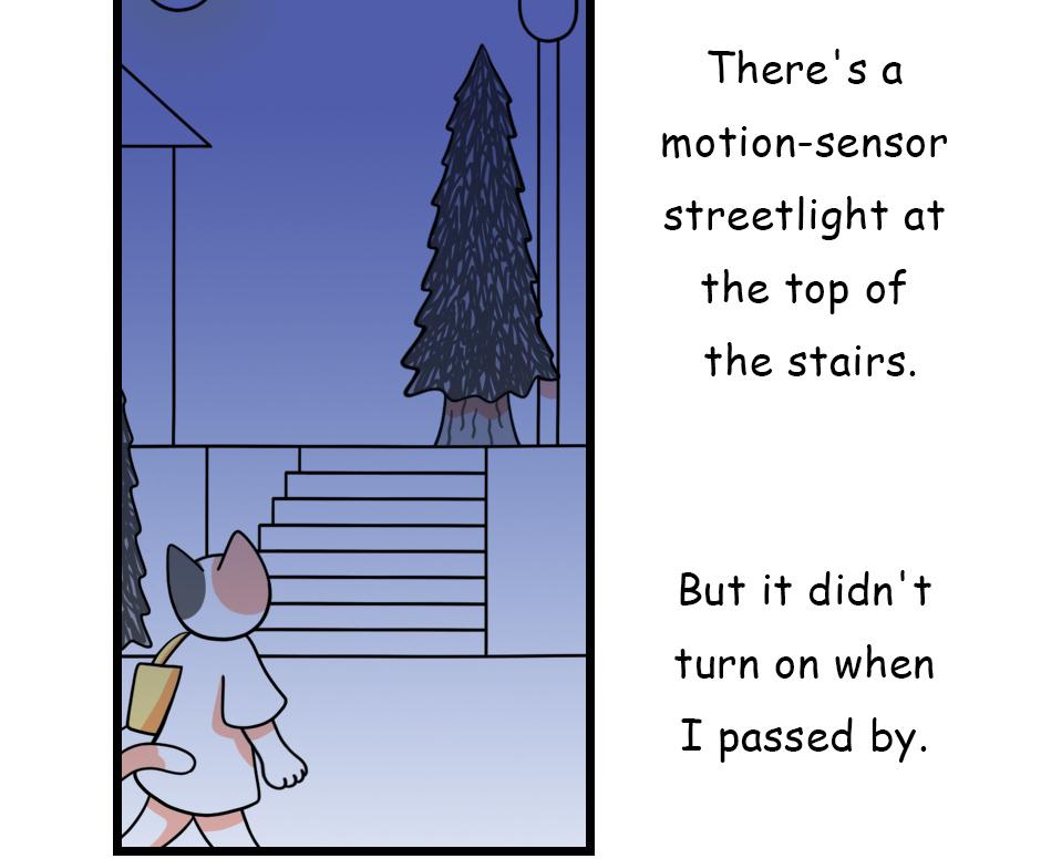 Image 2 Cut