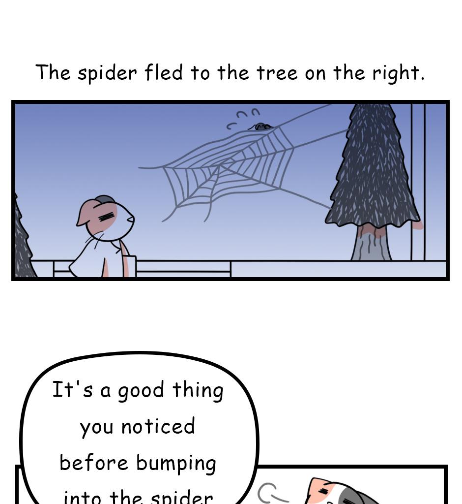 Image 1 Cut
