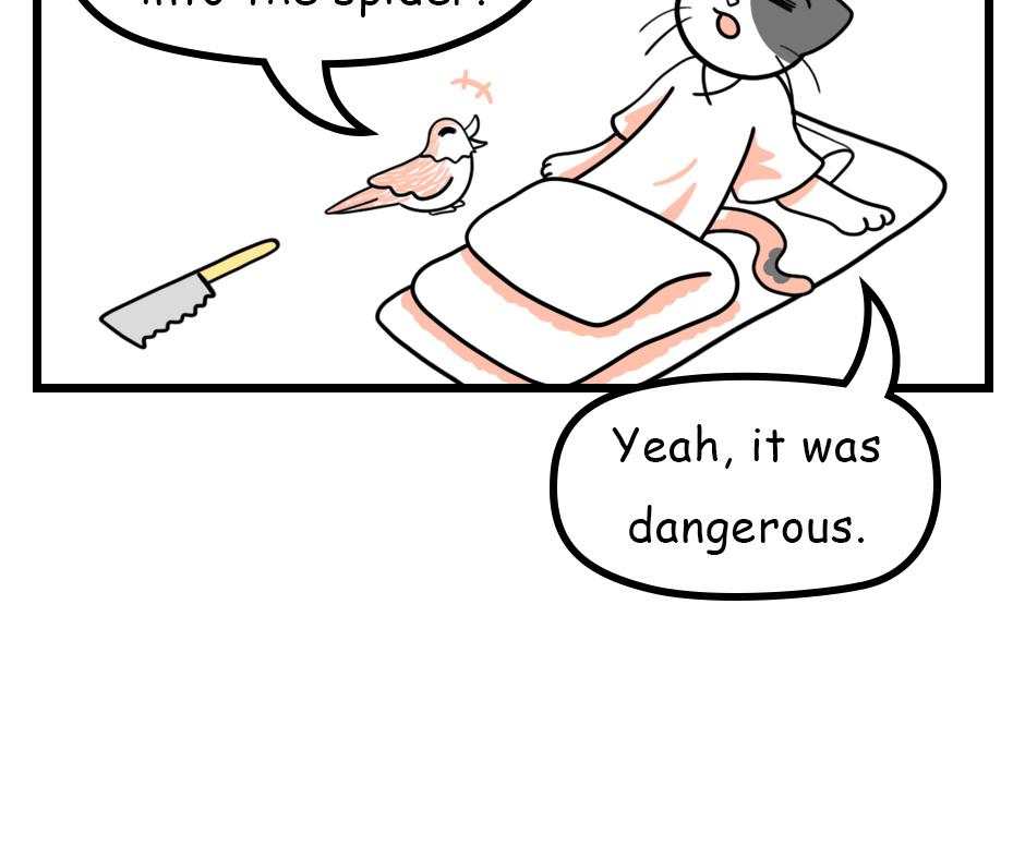Image 2 Cut