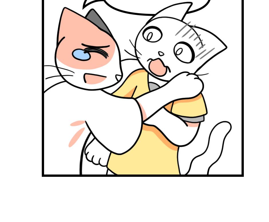 Image 2 Cut