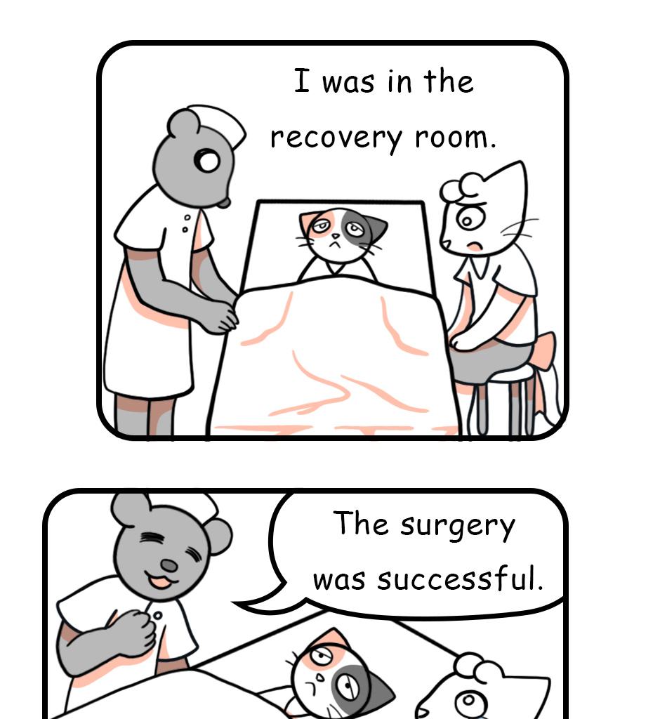 Image 1 Cut