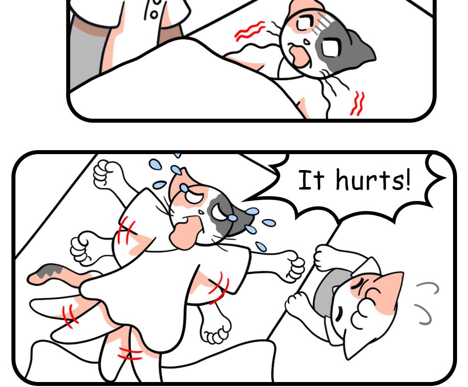 Image 2 Cut