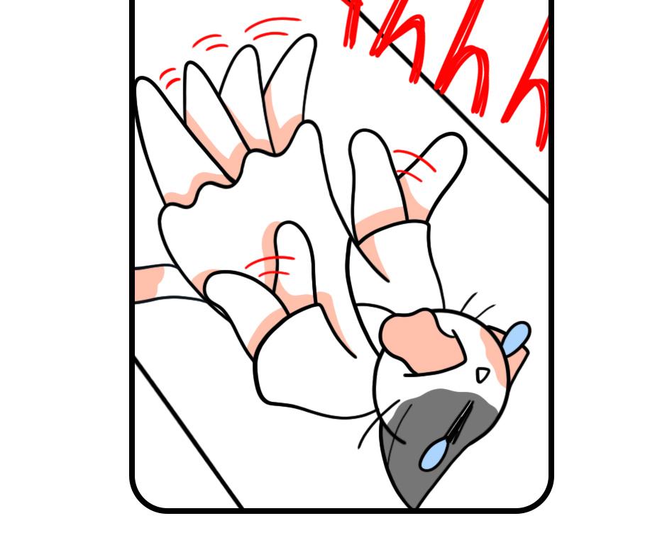 Image 2 Cut