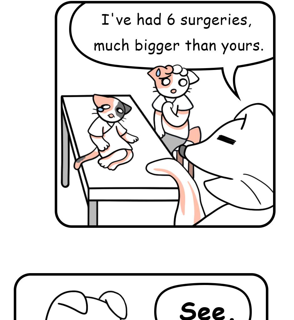 Image 1 Cut