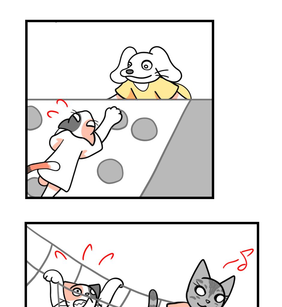 Image 1 Cut