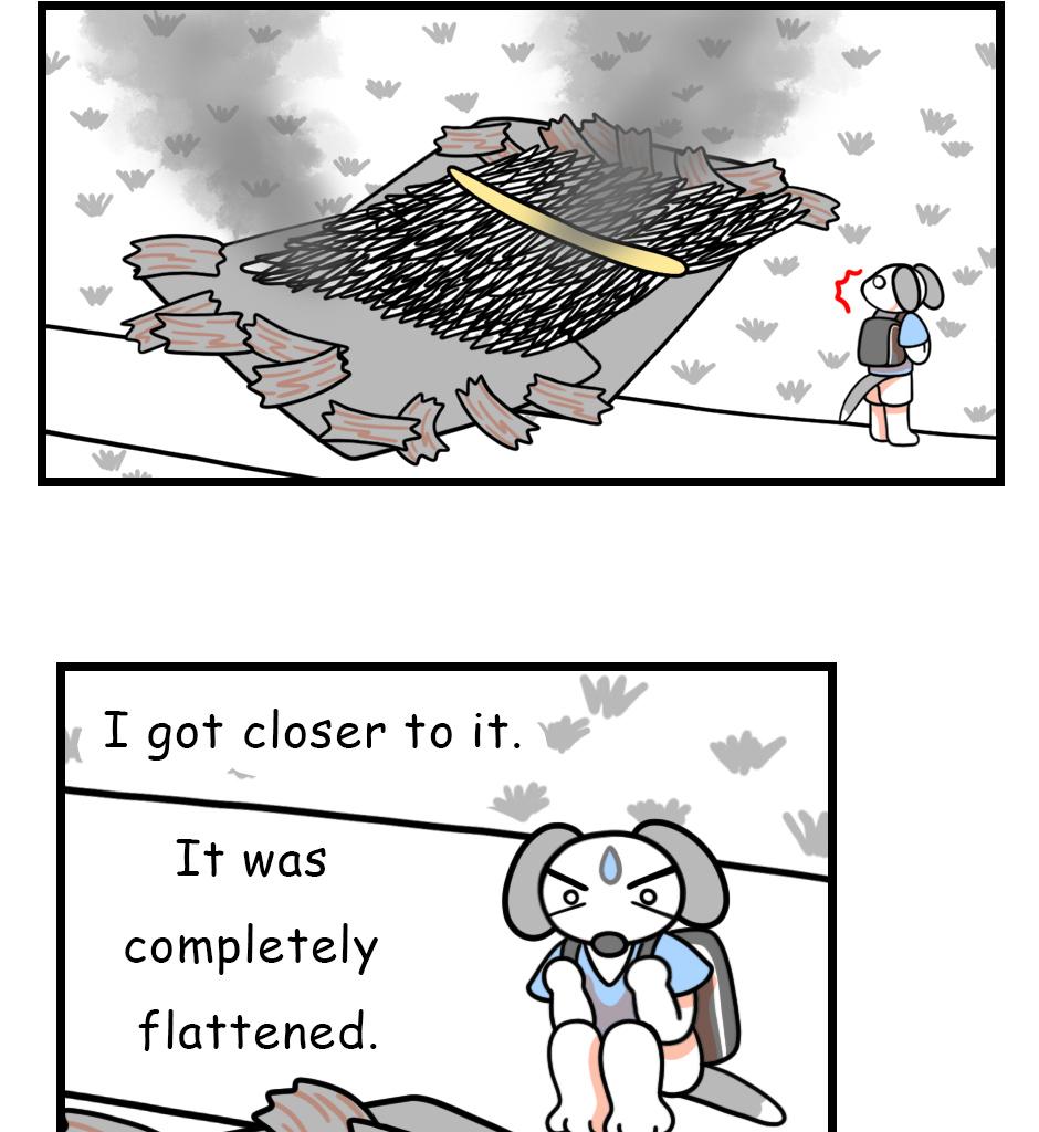 Image 1 Cut
