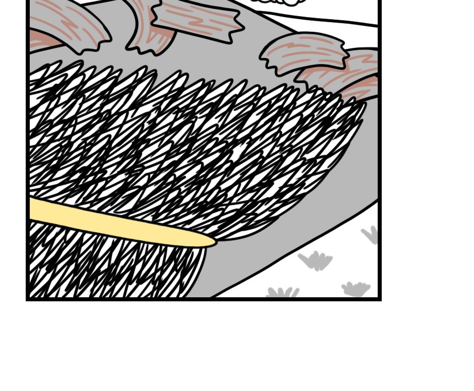 Image 2 Cut