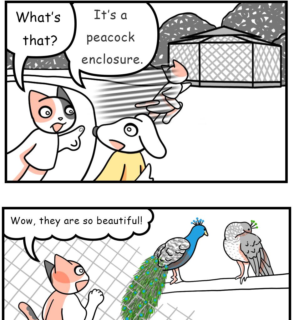 Mikesaka Art Class (◆Episodes are about art methods.) - Episode 136, Page 5: 107. Resting Feathers(2/3)