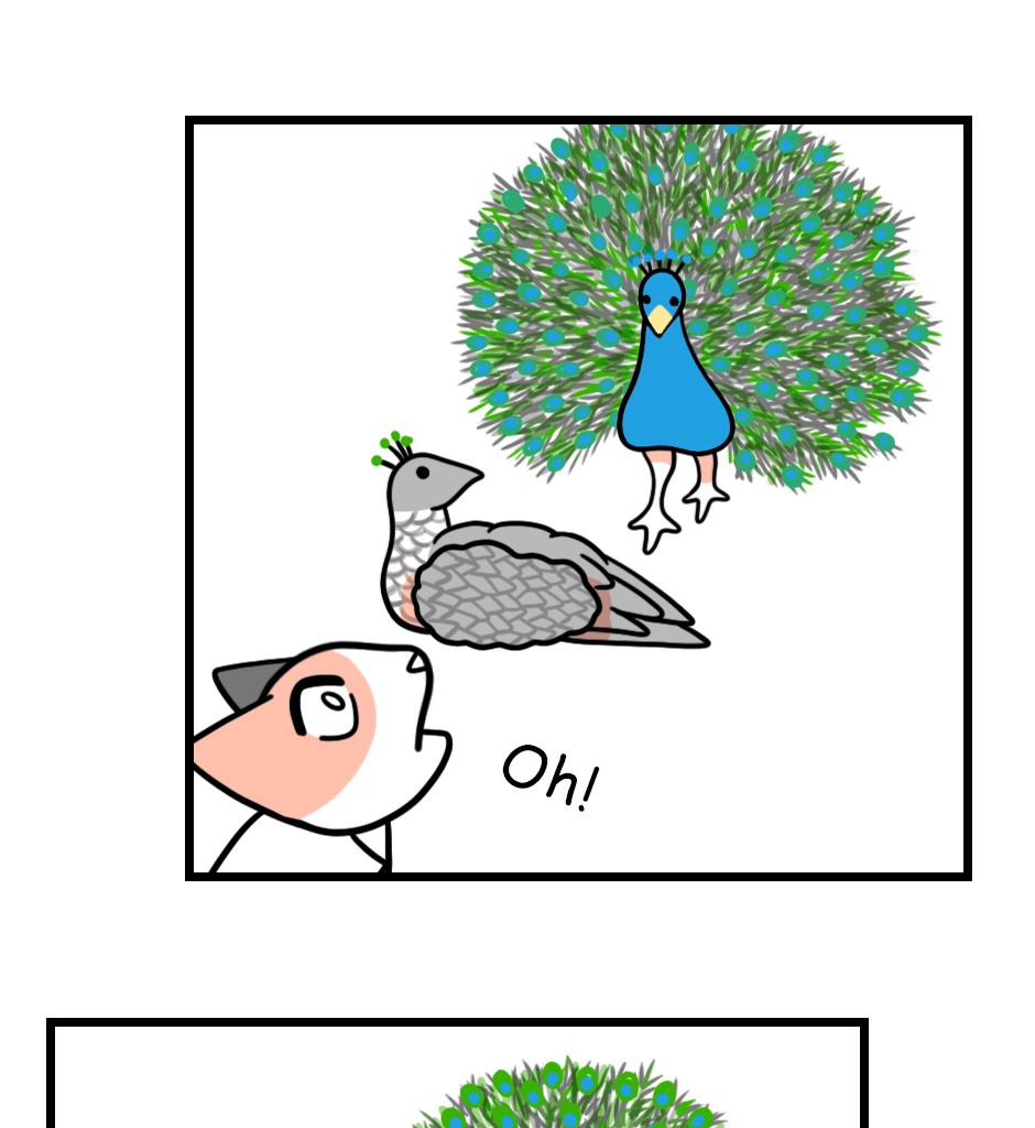 Mikesaka Art Class (◆Episodes are about art methods.) - Episode 136, Page 6: 107. Resting Feathers(2/3)