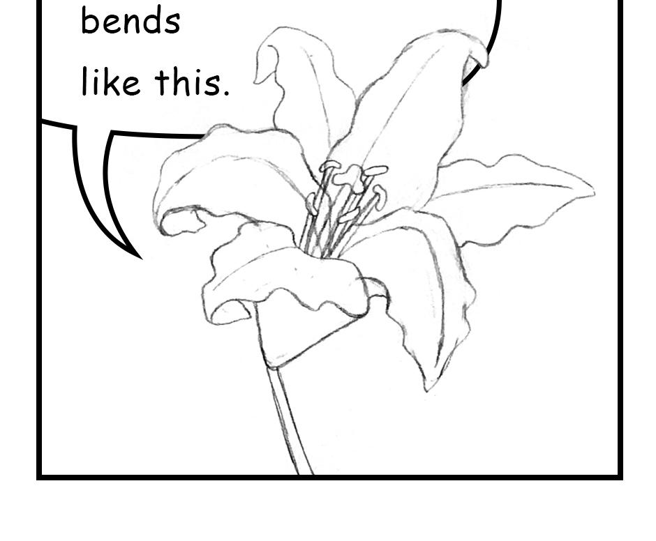 Mikesaka Art Class (◆Episodes are about art methods.) - Episode 141, Page 4: 110. ◆Sketching a Lily