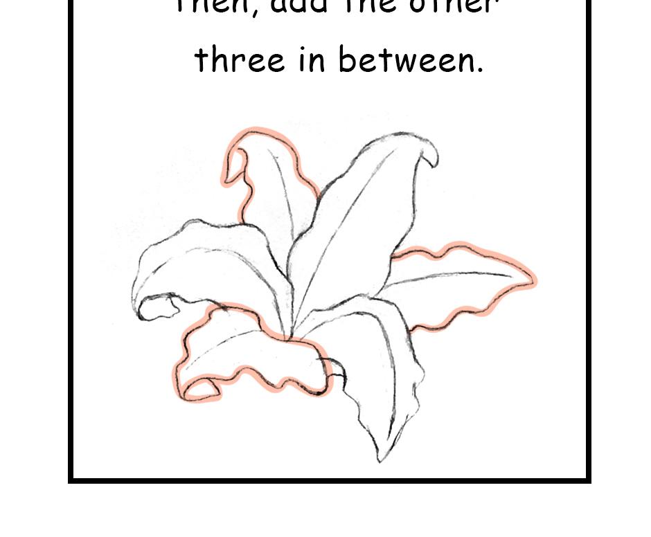 Mikesaka Art Class (◆Episodes are about art methods.) - Episode 141, Page 5: 110. ◆Sketching a Lily