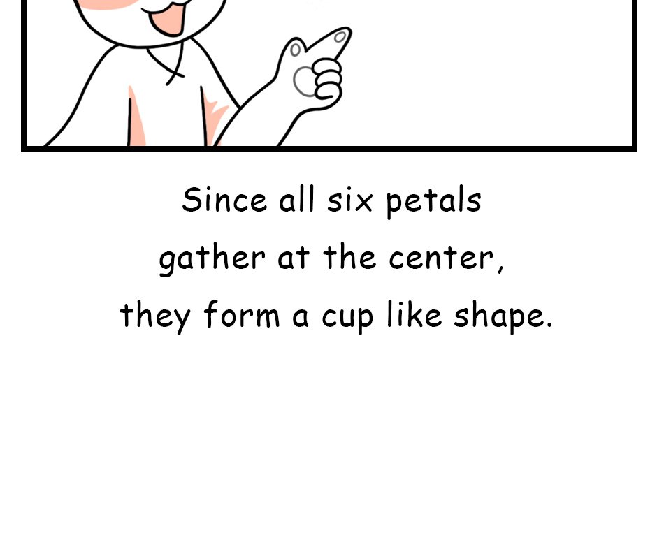 Mikesaka Art Class (◆Episodes are about art methods.) - Episode 141, Page 6: 110. ◆Sketching a Lily