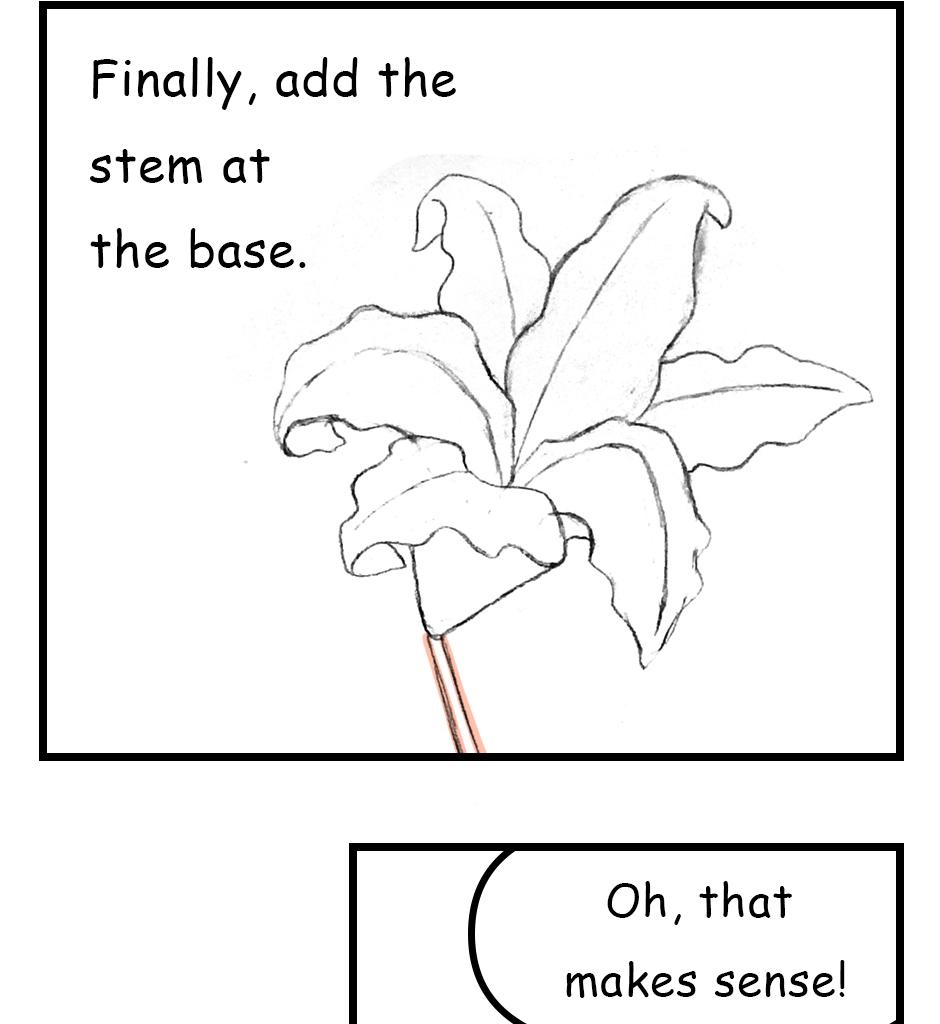 Mikesaka Art Class (◆Episodes are about art methods.) - Episode 141, Page 7: 110. ◆Sketching a Lily