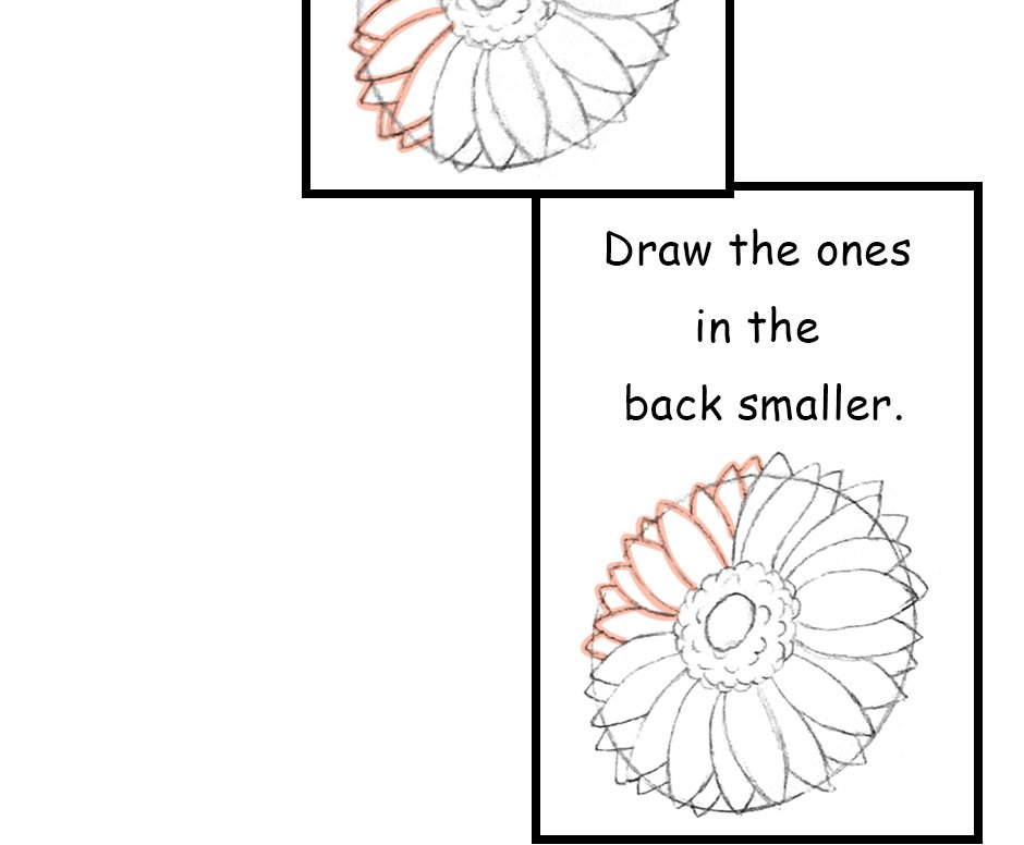 Mikesaka Art Class (◆Episodes are about art methods.) - Episode 142, Page 4: 111. ◆Sketching a Gerbera from Every Angle(1/3)