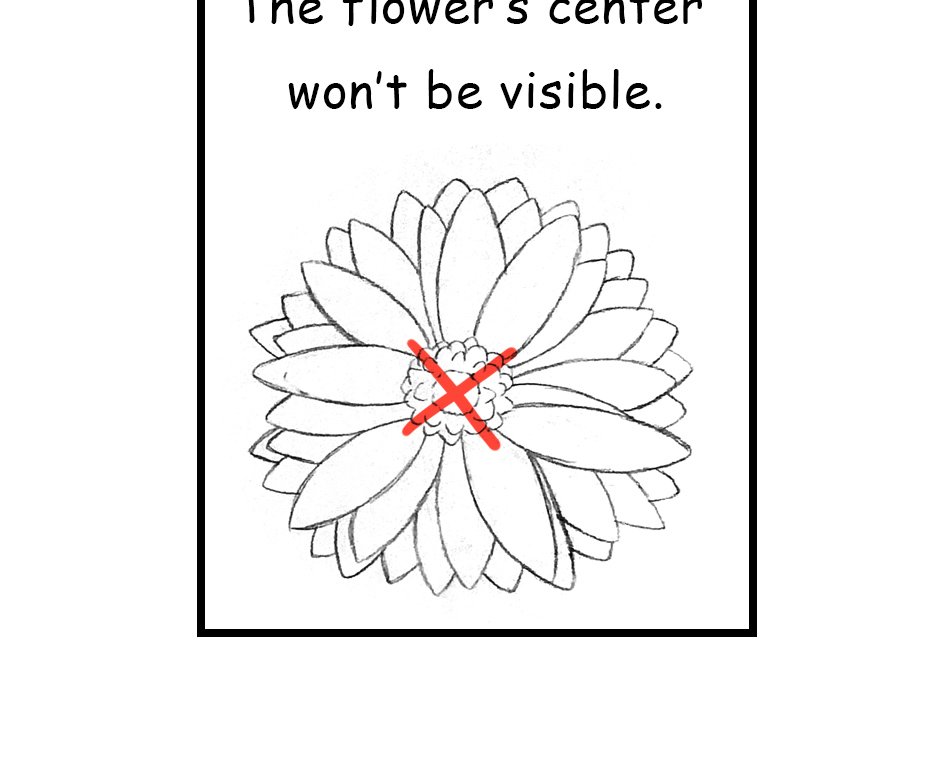 Mikesaka Art Class (◆Episodes are about art methods.) - Episode 143, Page 1: 111. ◆Sketching a Gerbera from Every Angle(2/3)