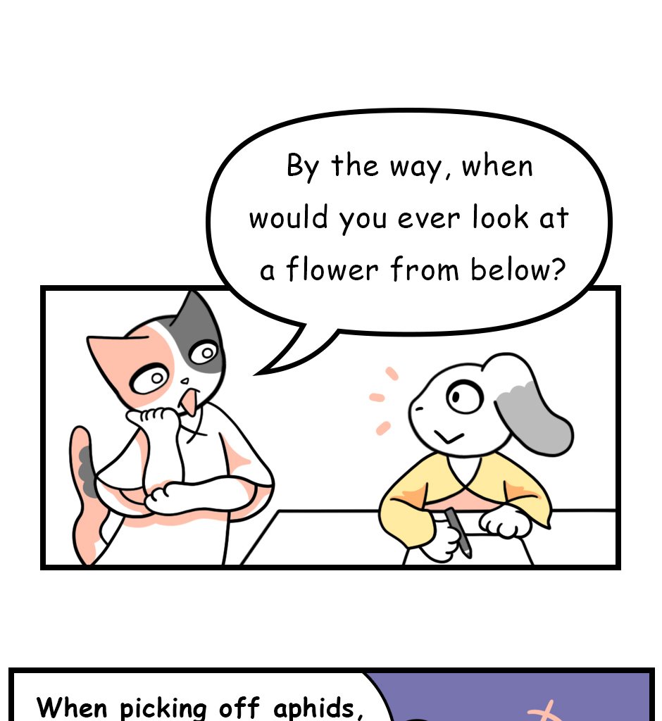 Mikesaka Art Class (◆Episodes are about art methods.) - Episode 144, Page 3: 111. ◆Sketching a Gerbera from Every Angle(3/3)