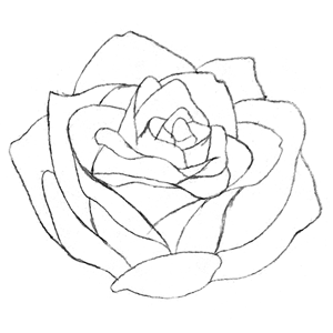  - Episode 145: 112. ◆Sketching a Rose