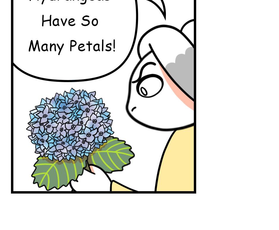 Mikesaka Art Class (◆Episodes are about art methods.) - Episode 146, Page 1: 113. ◆Sketching a Hydrangea