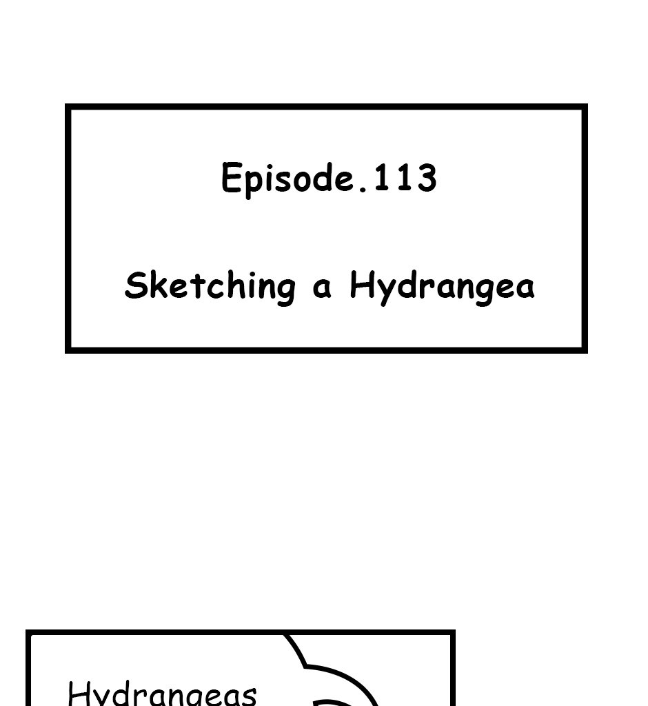 Mikesaka Art Class (◆Episodes are about art methods.) - Episode 146, Page 1: 113. ◆Sketching a Hydrangea