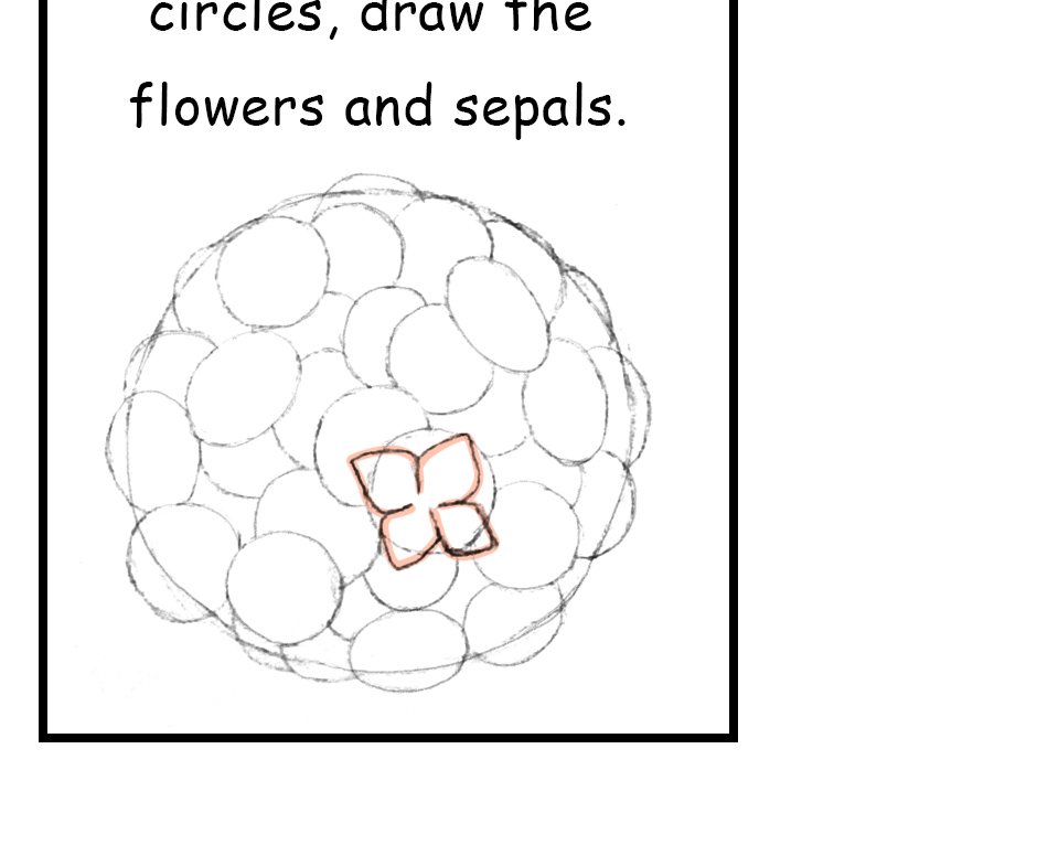 Mikesaka Art Class (◆Episodes are about art methods.) - Episode 146, Page 4: 113. ◆Sketching a Hydrangea