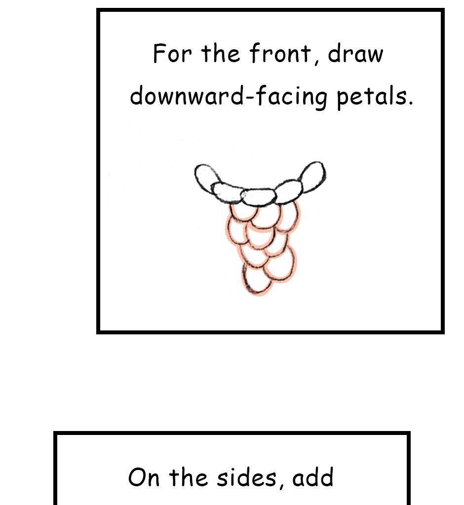 Mikesaka Art Class (◆Episodes are about art methods.) - Episode 147, Page 3: 114. ◆Sketching a Chrysanthemum