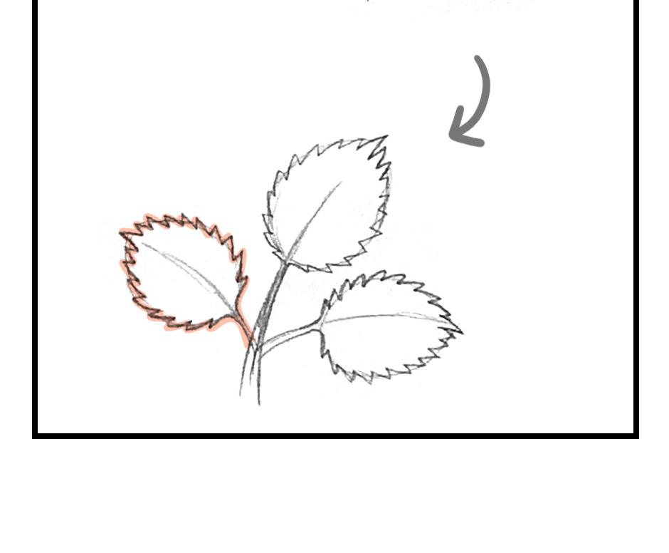 Mikesaka Art Class (◆Episodes are about art methods.) - Episode 148, Page 3: 115. ◆Sketching Leaves