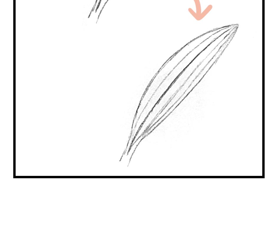 Mikesaka Art Class (◆Episodes are about art methods.) - Episode 148, Page 4: 115. ◆Sketching Leaves