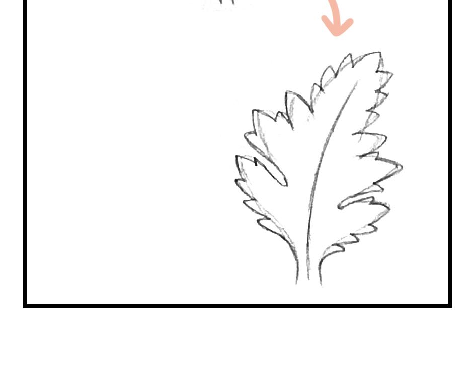 Mikesaka Art Class (◆Episodes are about art methods.) - Episode 148, Page 6: 115. ◆Sketching Leaves