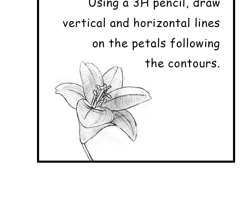 Mikesaka Art Class (◆Episodes are about art methods.) - Episode 150, Page 3: 117. ◆Adding Line Art Details