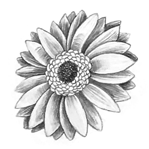 Mikesaka Art Class (◆Episodes are about art methods.) - Episode 150: 117. ◆Adding Line Art Details