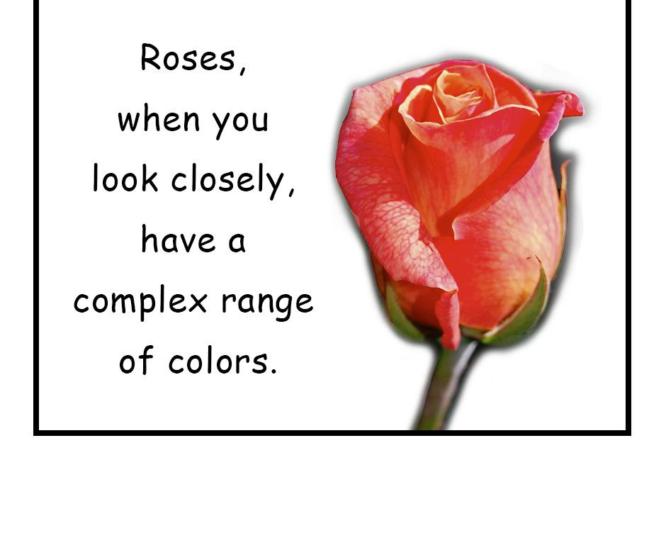 Mikesaka Art Class (◆Episodes are about art methods.) - Episode 155, Page 2: 122. ◆Painting Roses in Watercolor