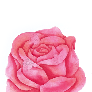  - Episode 155: 122. ◆Painting Roses in Watercolor