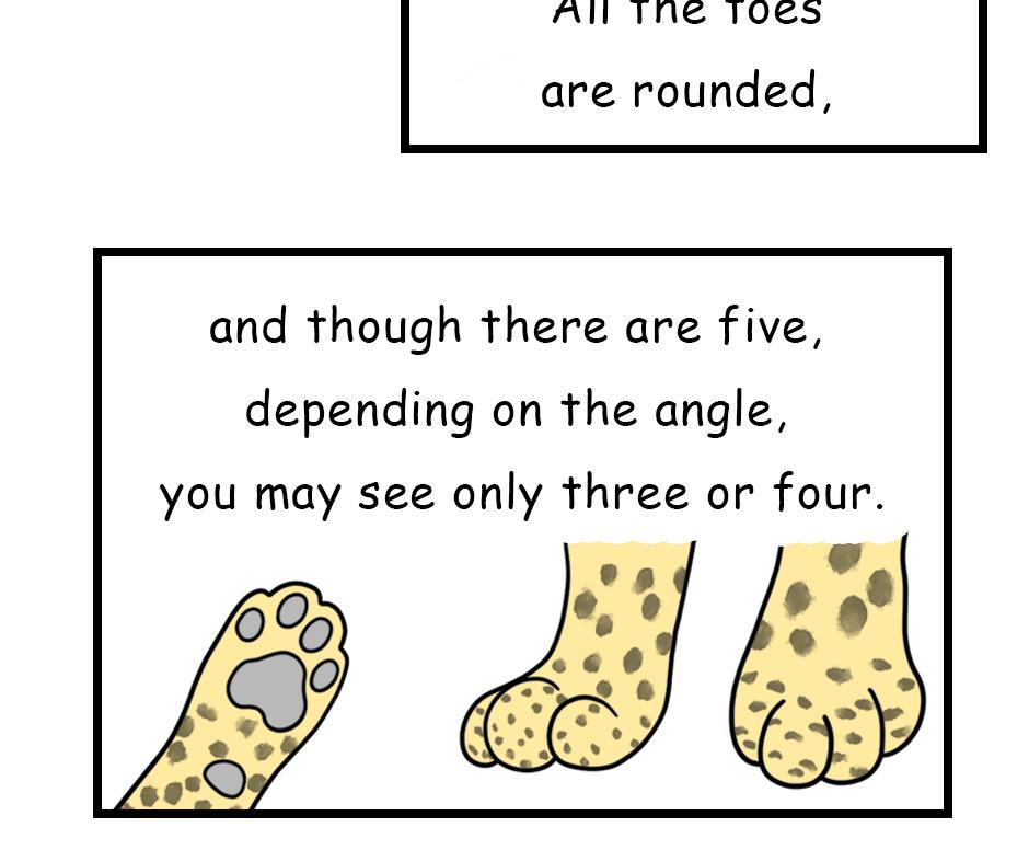 Mikesaka Art Class (◆Episodes are about art methods.) - Episode 173, Page 9: 138. ◆Sketching a Cheetah