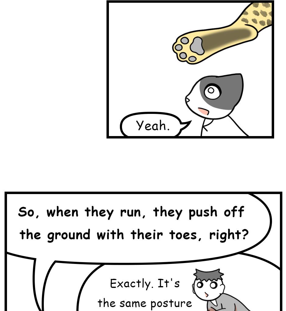 Mikesaka Art Class (◆Episodes are about art methods.) - Episode 173, Page 12: 138. ◆Sketching a Cheetah