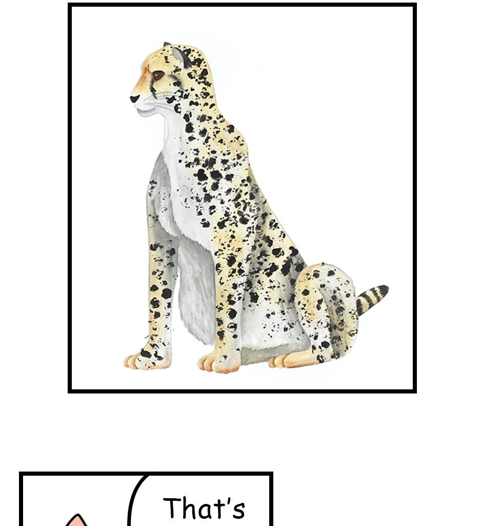 Mikesaka Art Class (◆Episodes are about art methods.) - Episode 174, Page 5: 139. ◆Painting Cheetah Patterns