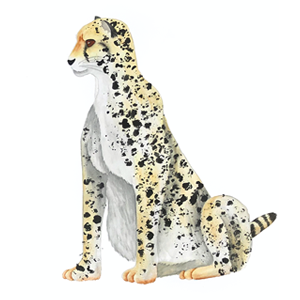 Mikesaka Art Class (◆Episodes are about art methods.) - Episode 174: 139. ◆Painting Cheetah Patterns