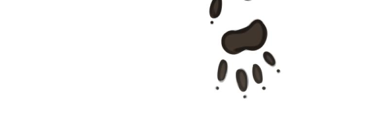 Outcaste - Episode 4, Page 1: Journal 1: Entry 2, Page 2