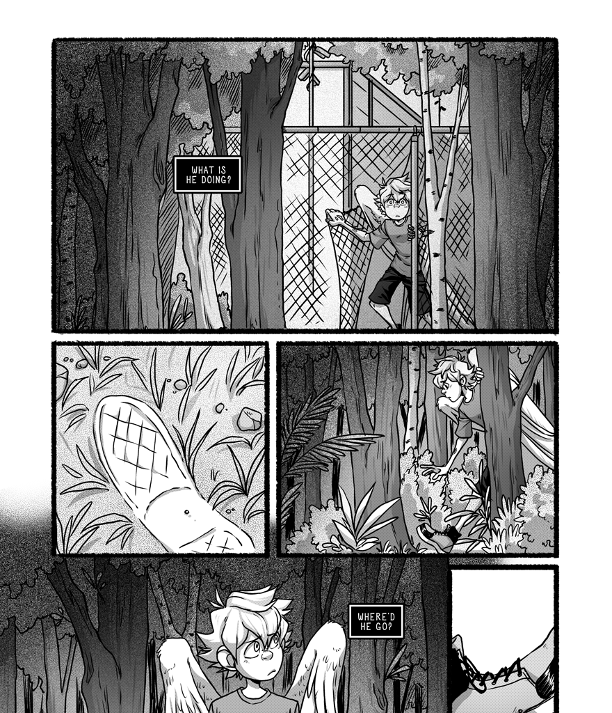 Image 1 Cut