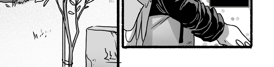 Image 2 Cut