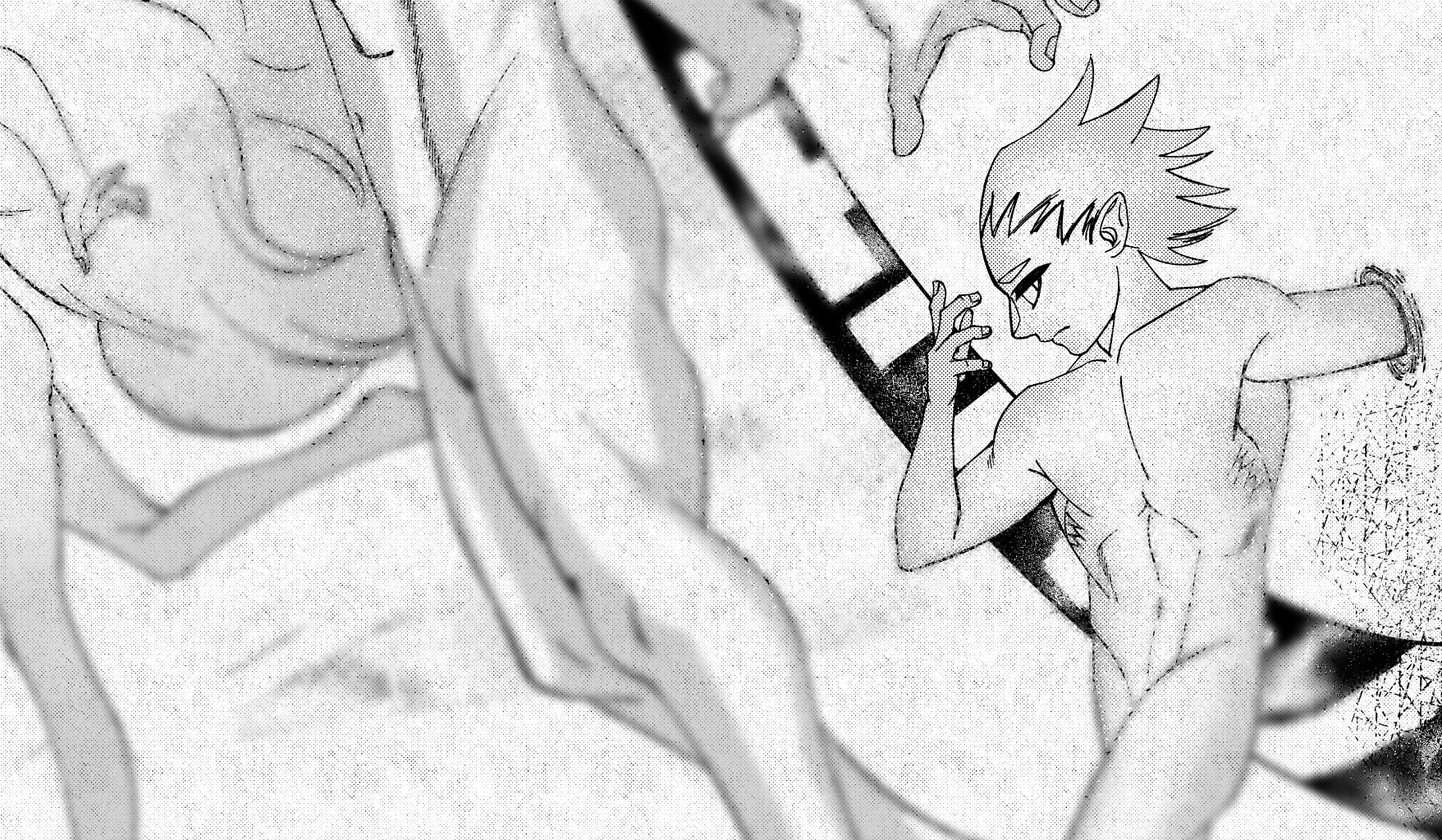 Image 2 Cut